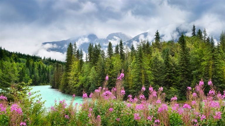 Journey through the Clouds - Rocky Mountaineer  © Leny Silina Helmig /adobestock